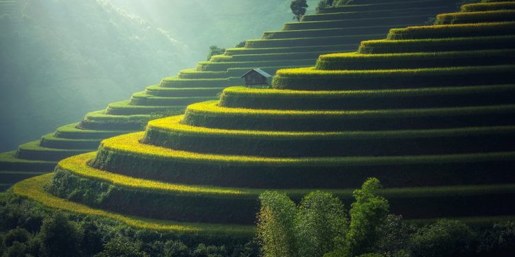 sasint (CC0), Pixabay