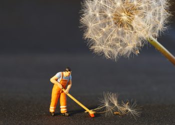 stocks that are down