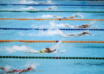 top performing canadian mutual funds