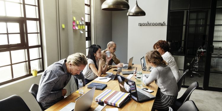 what are dividend stocks