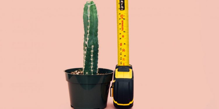 are insurance proceeds taxable