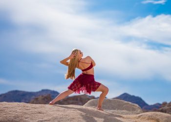 are reits closed end funds