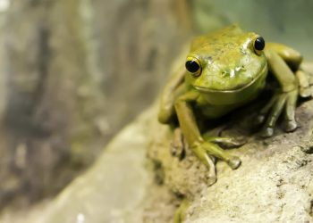 best investment firms for new investors