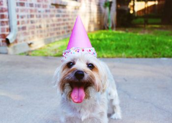 canadian apartment properties reit