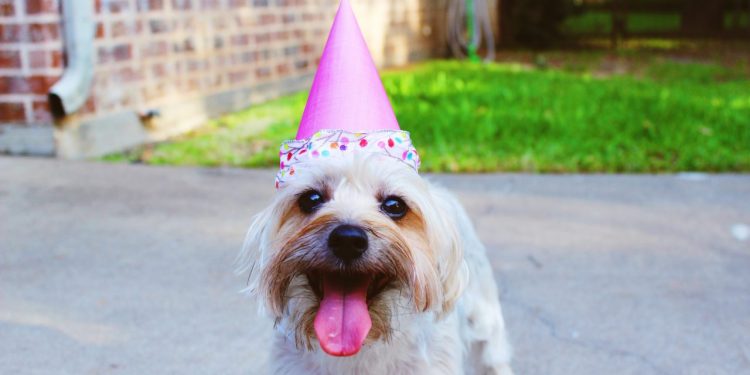 canadian apartment properties reit