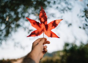 do reits have expense ratios