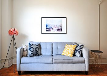 how much dividends should a company pay