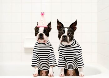 how much tax do you pay on dividends in canada