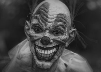 how mutual funds grow