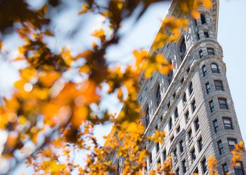 how often are stock dividends paid