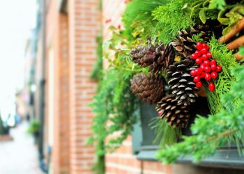 how to value a company with no dividends