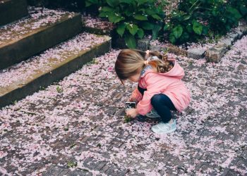 how to work out dividend per share