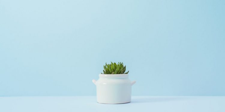 is variable annuity a good investment