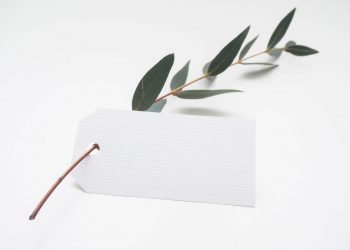 maximize retirement income