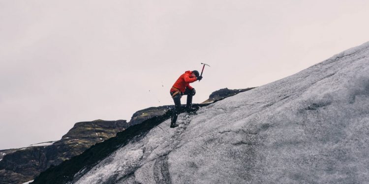 money management firms