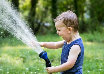 mutual funds for dummies