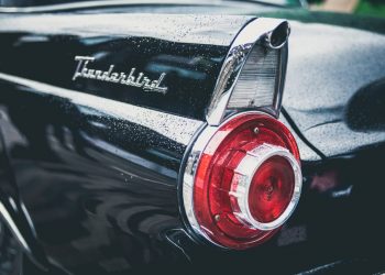 real estate investment trust