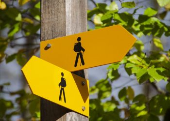 recommended preferred stocks