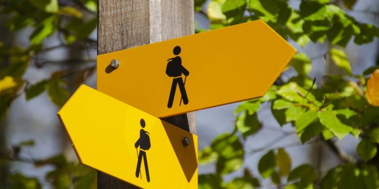 recommended preferred stocks