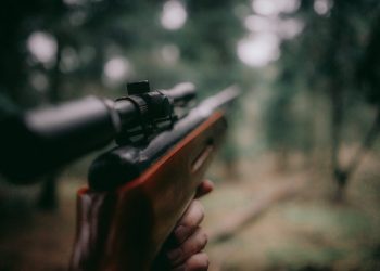 registered investment advisor firms