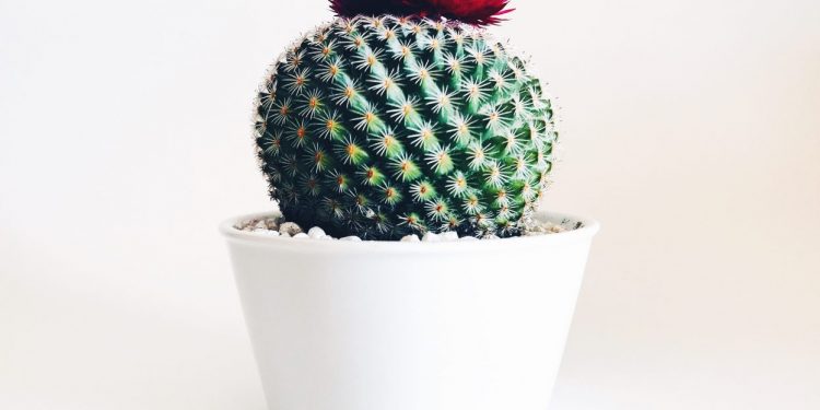 schwab emerging markets etf