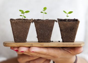 shares which pay high dividends