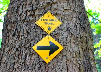 stock market closing prices