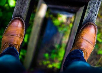 stock trend analysis