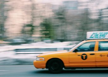 what happens to dividends in mutual funds