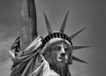 what is a portfolio dividend