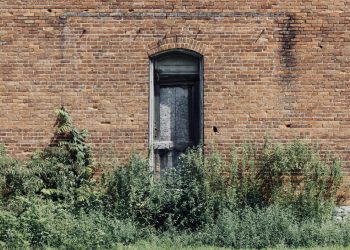 what mutual funds pay the highest dividends