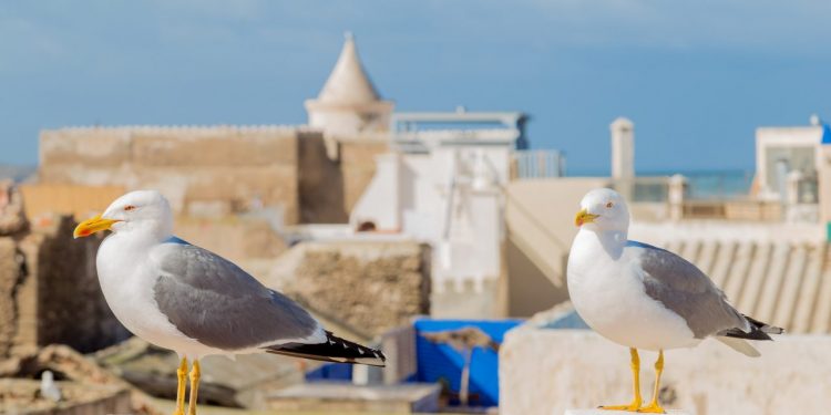 when are reit dividends taxable