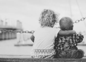 which dividend stocks to buy