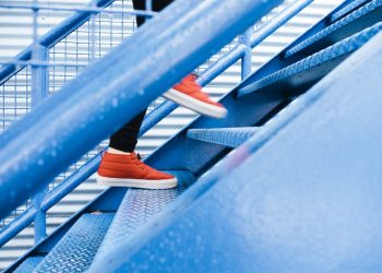 which stocks give dividends