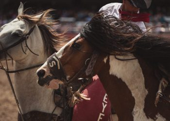 who gets dividend on short sale