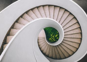 why do companies give dividends