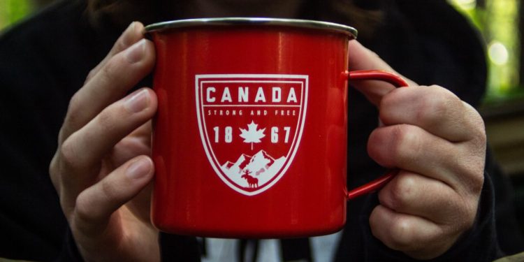 why reits are not right for canadian investors